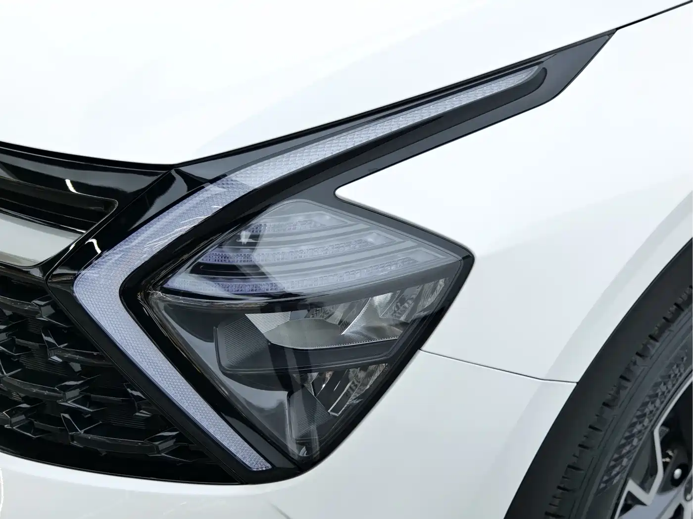 KIA LION PLATINUM EXPANDS THE WORLD