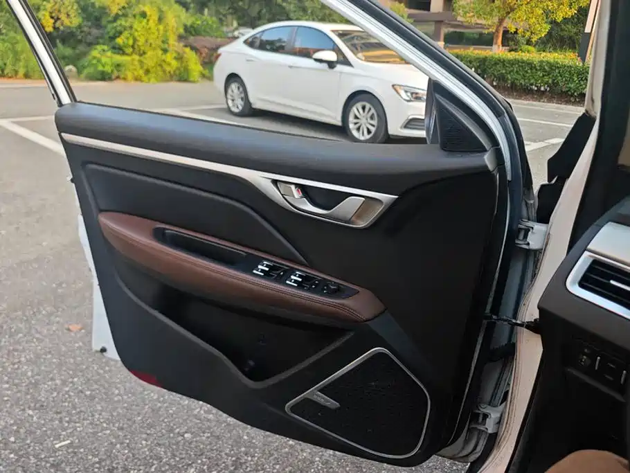 Фото 7 - Geely Vision