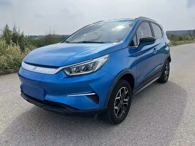 BYD Yuan Pro 2021 Lifetime Love Edition — фото 1