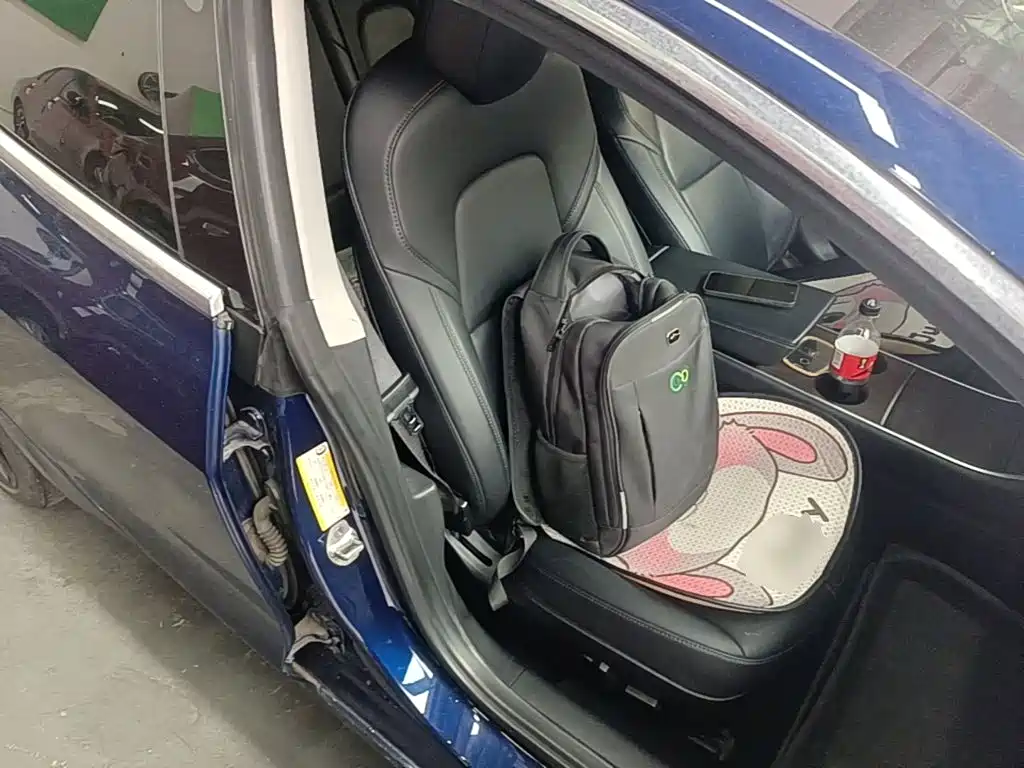 Tesla Model 3 (Import) 2019 2019 Long Range RWD Version