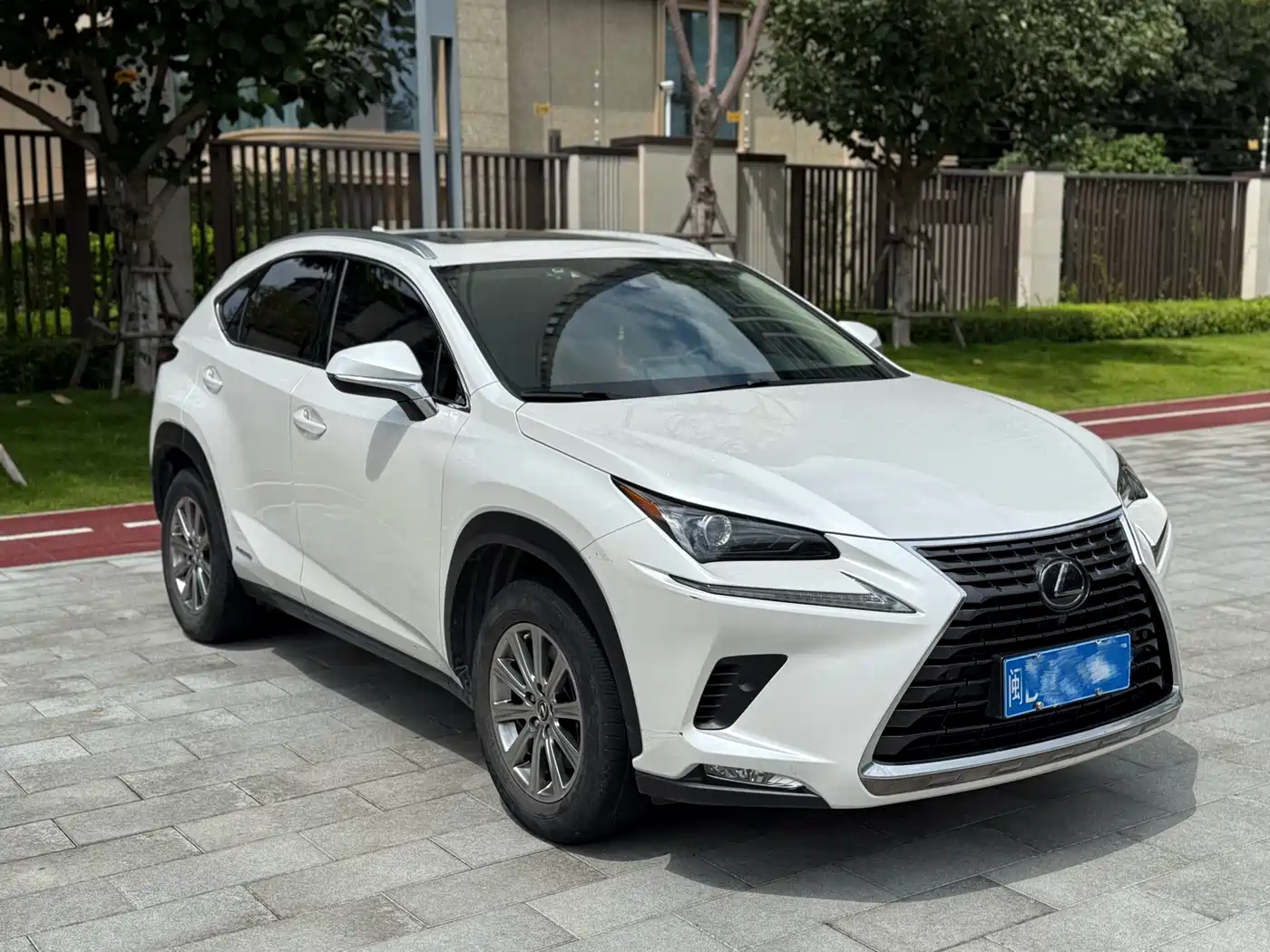 LEXUS NX