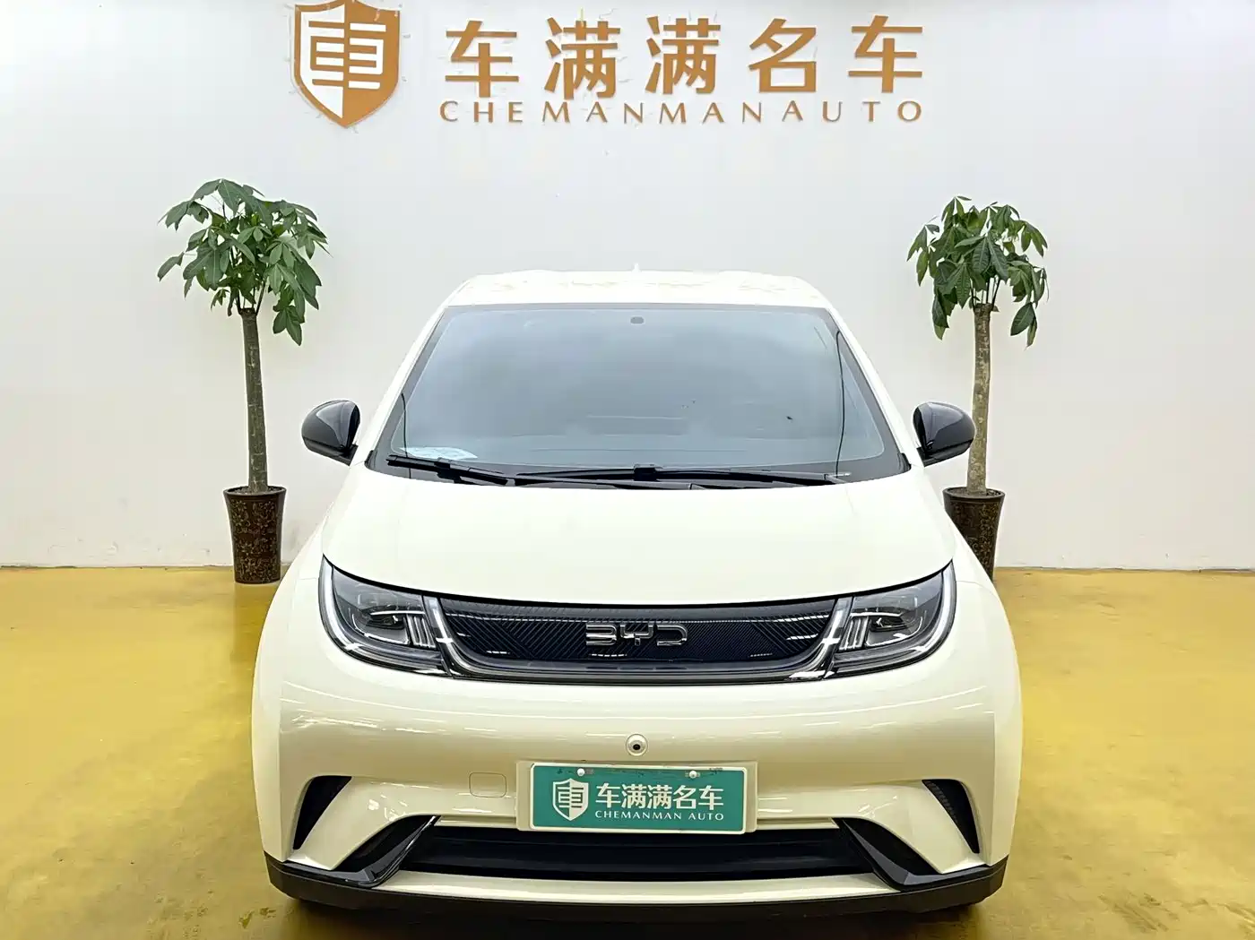 BYD Dolphin 2026 2025 420km Freedom Edition