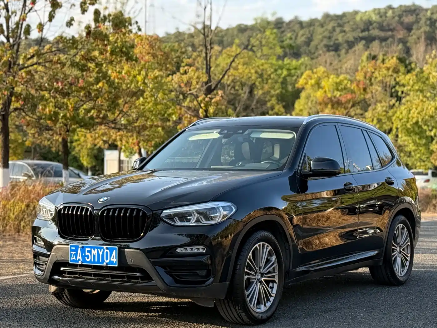 BMW X3 2018 xDrive28i Luxury Package China VI