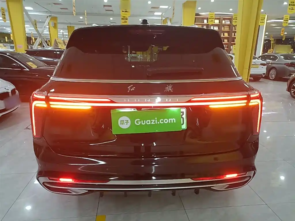 Hongqi E-HS9 2022 690km Qi Xiang Edition (6-seater) фото 6