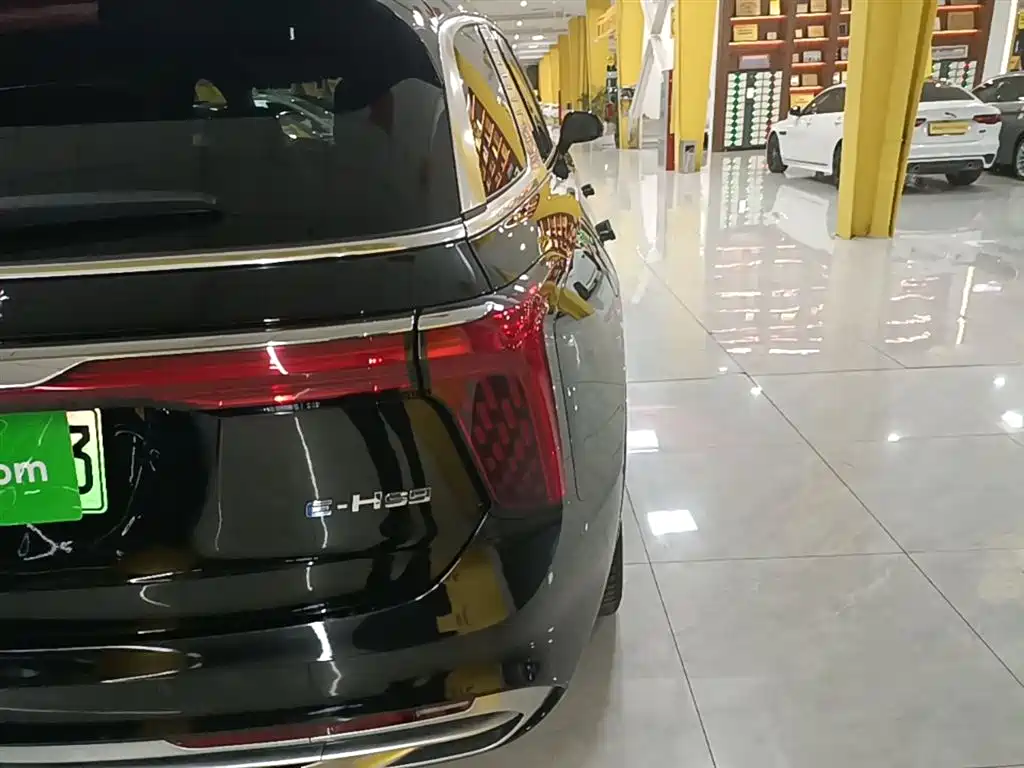 Hongqi E-HS9 2022 690km Qi Xiang Edition (6-seater) фото 8