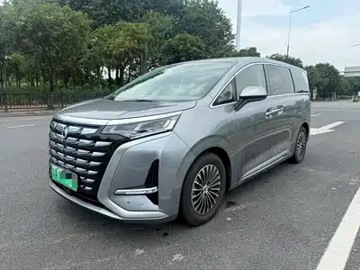 Denza D9