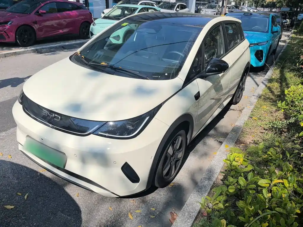 Фото 1 - BYD Dolphin