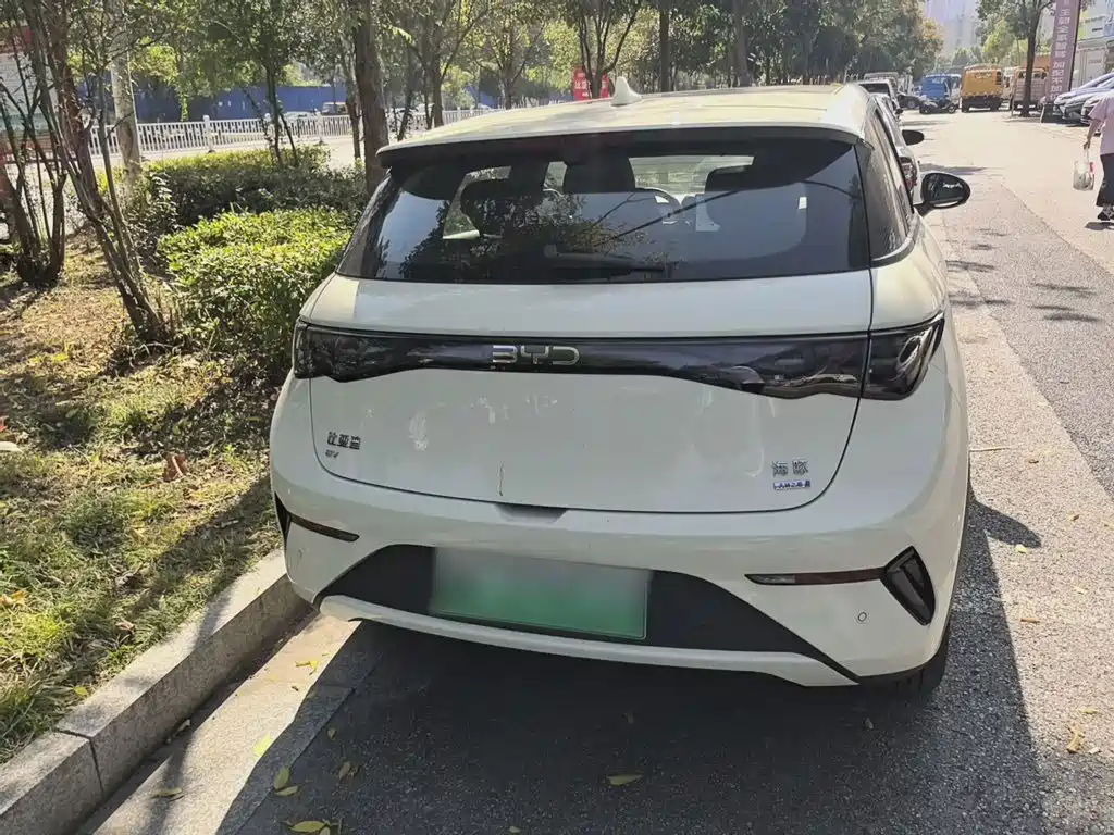 Фото 9 - BYD Dolphin