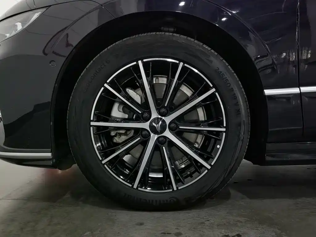 Voyah Auto VOYAH Zhuiguang 2025 2024 PHEV AWD Ultra-long Range Executive Edition