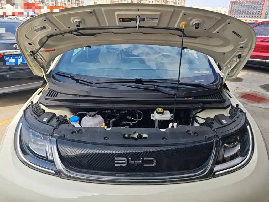BYD Dolphin 2026 2025 420km Freedom Edition