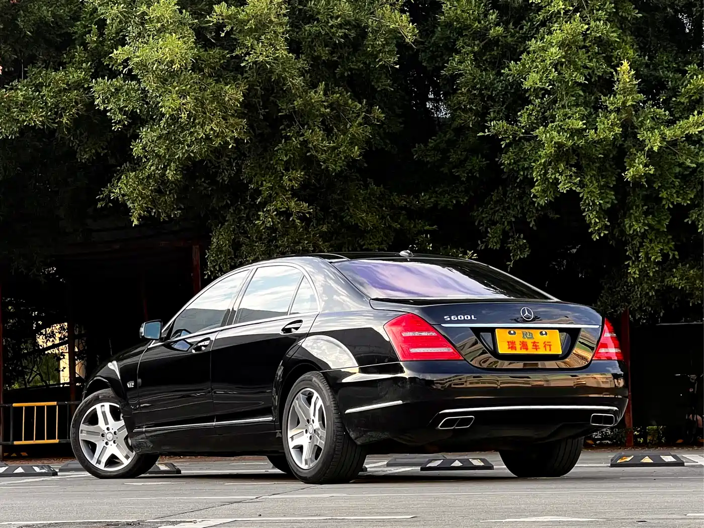 Mercedes-Benz S-Class 2010 S 600 L фото 6