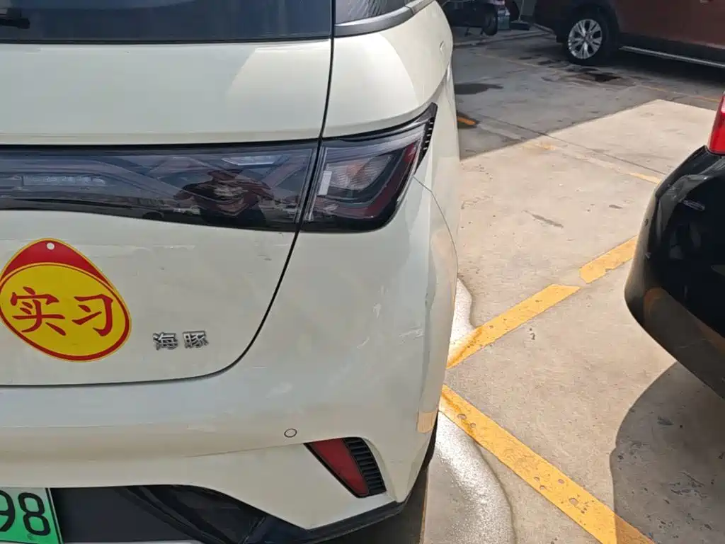 BYD Dolphin 2026 2025 420km Freedom Edition