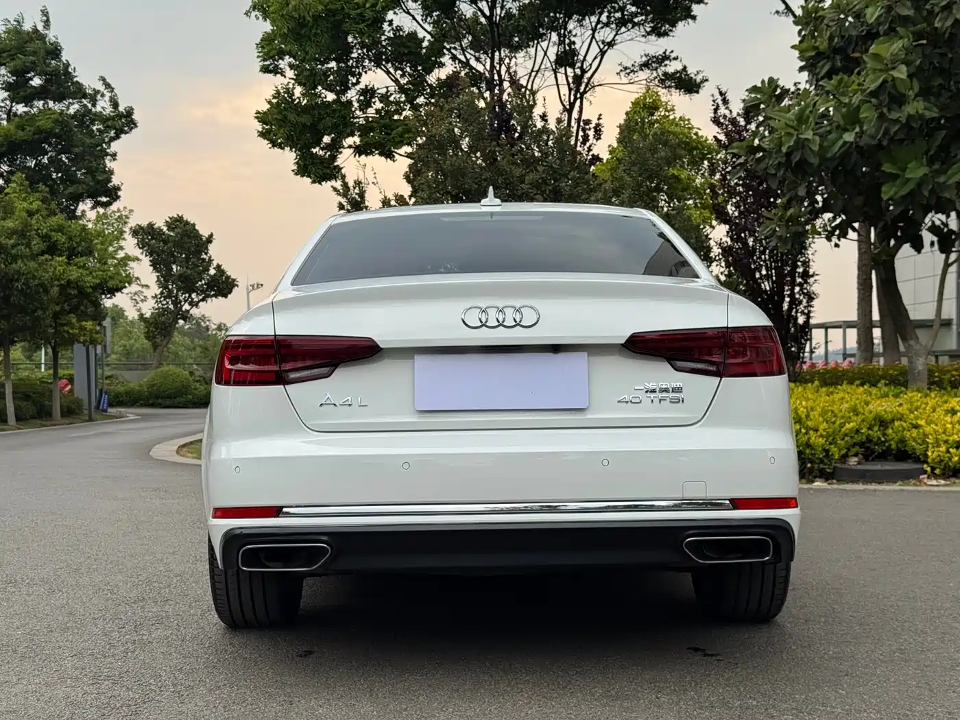 Audi A4L 2019 40 TFSI Progressive (China V) фото 6