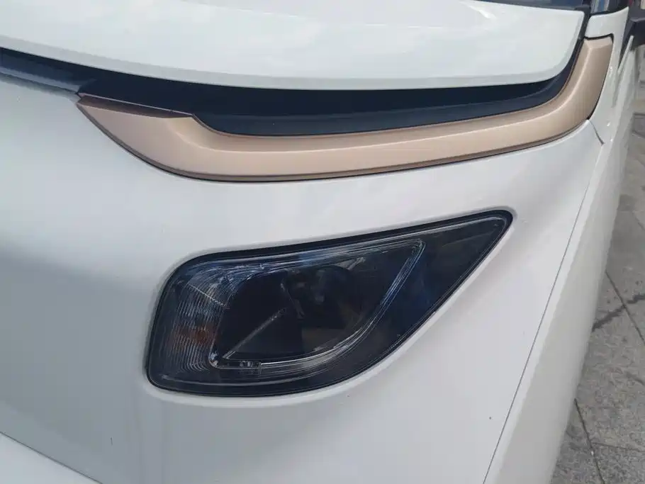 Baojun E200 2021 2020 305KM Smart Edition