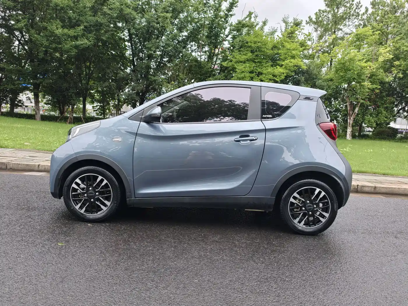 QQ New Energy Little Ant 2024 2024 251km True Love Edition