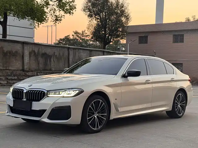 BMW 5 SERIES