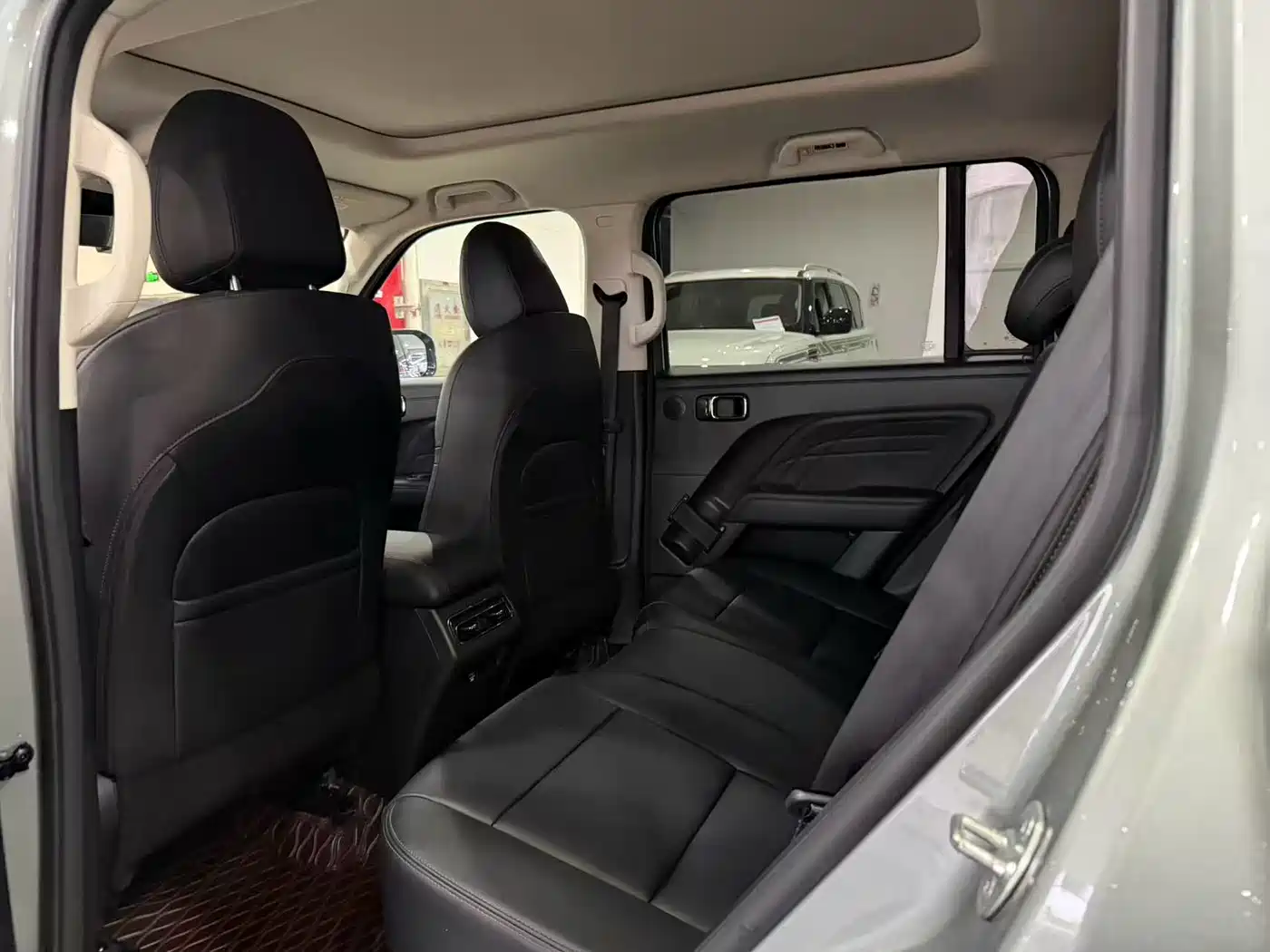 Photo 6 - Haval Meng Long NEV