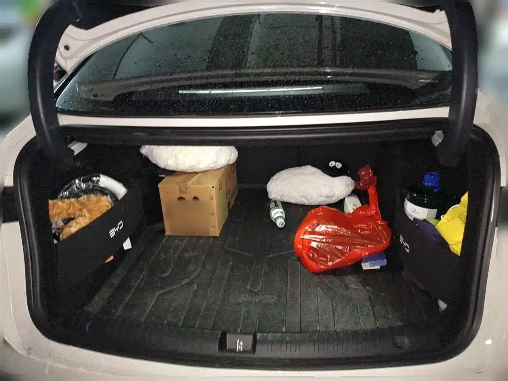 BYD Seal 06 New Energy 2024 DM-i 120KM Premium фото 10