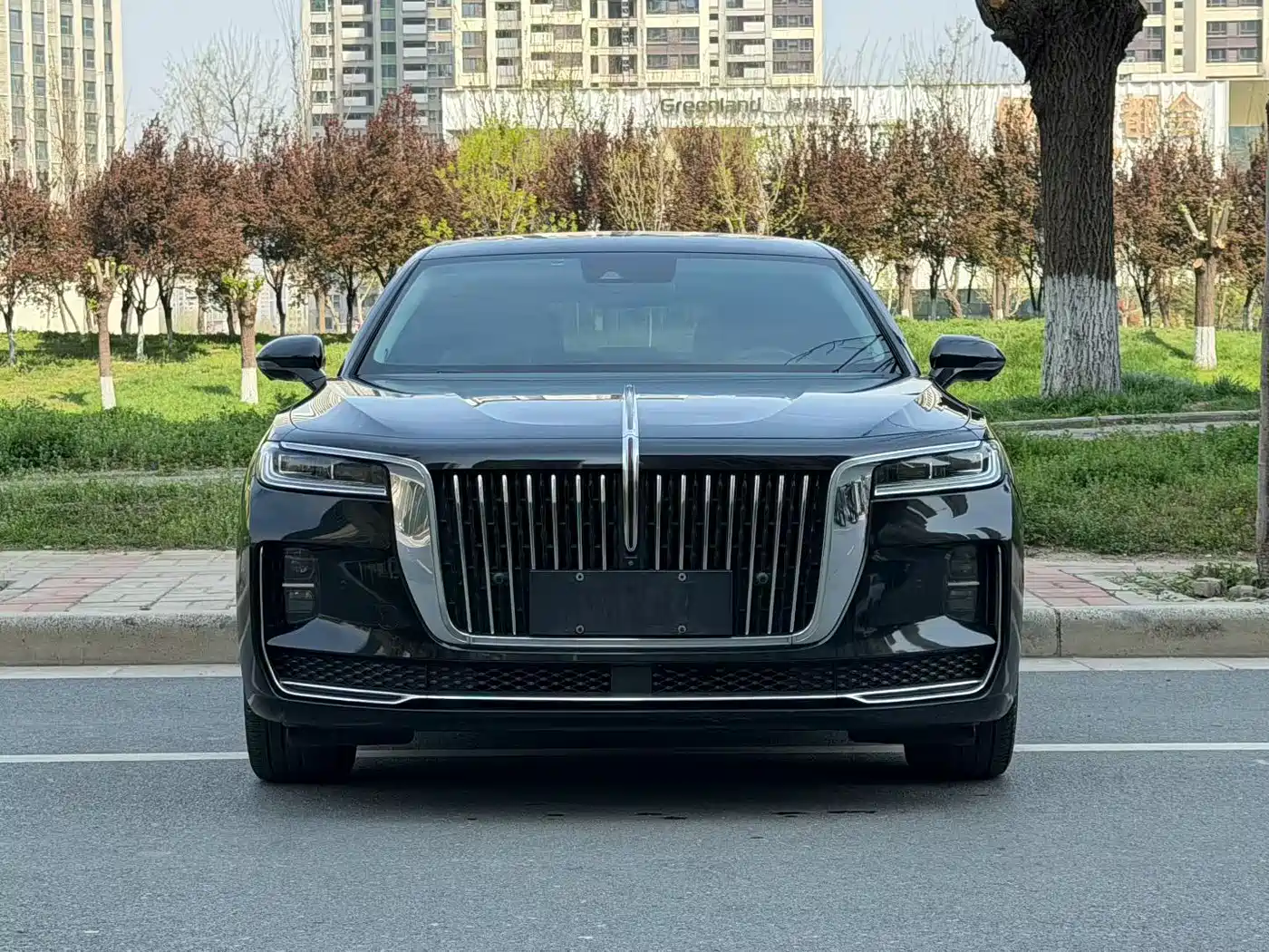Hongqi HONGQI H9