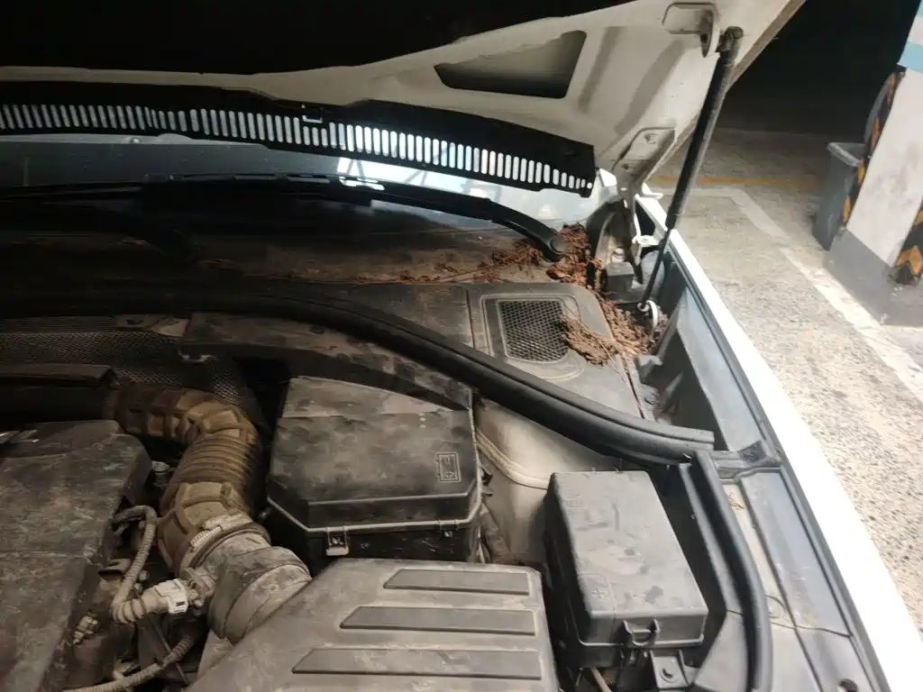 Photo 22 - Haval H7