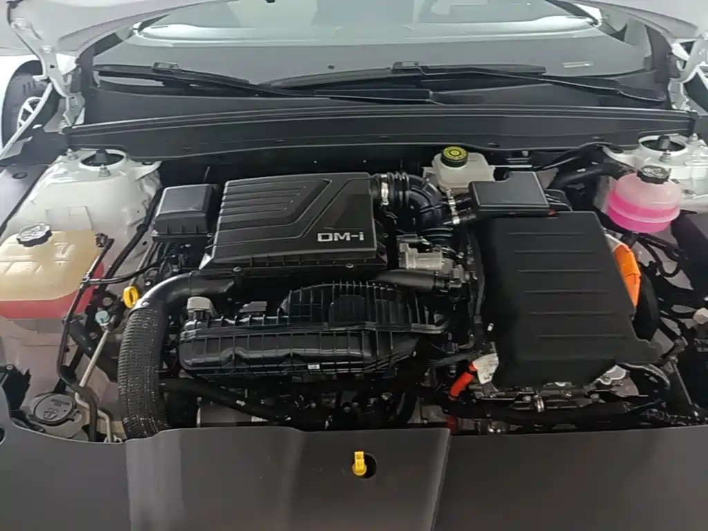 BYD Destroyer 05 2023 2022 DM-i 120KM Premium