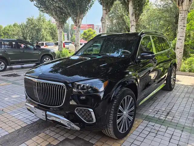 Mercedes-Benz Maybach GLS GLS 600 4MATIC, Гармония