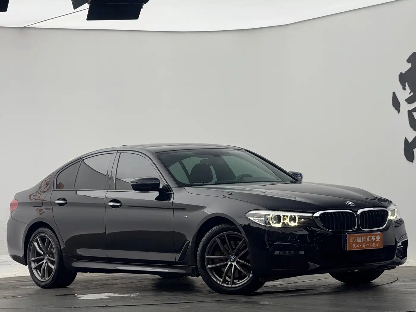 BMW 5 Series (Import) 2018 525i M Sport Package фото 3