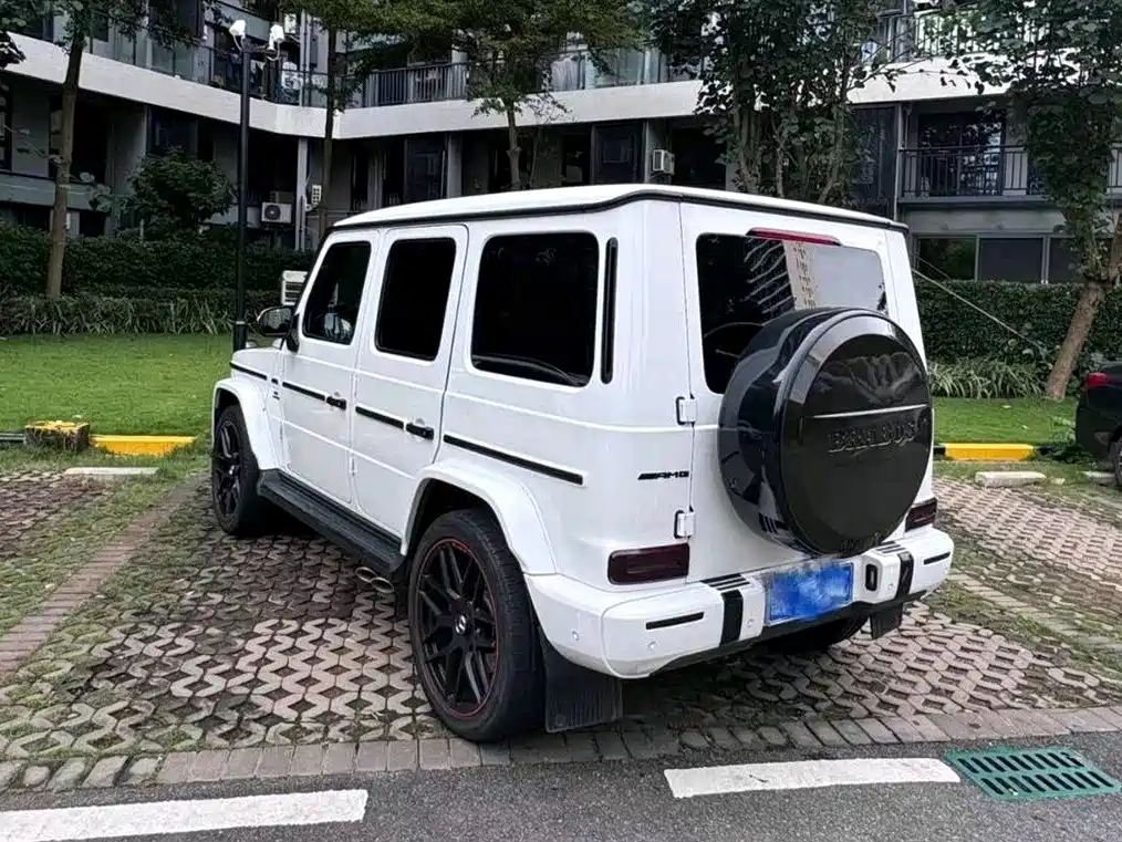 Mercedes-Benz G-Class 2019 G 500 фото 4