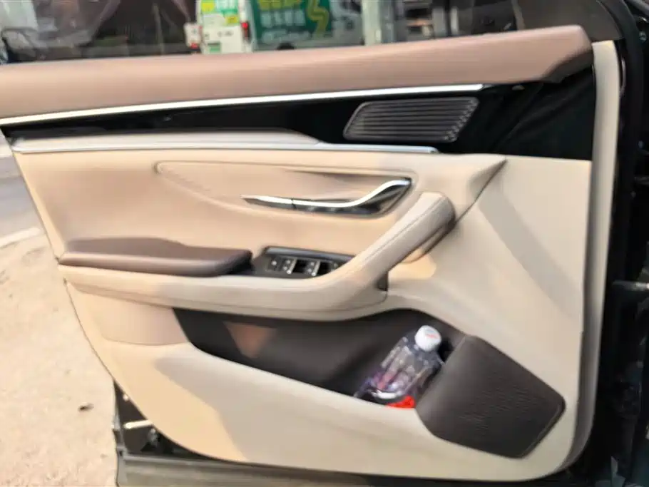 BYD SONGJIANG NEW ENERGY