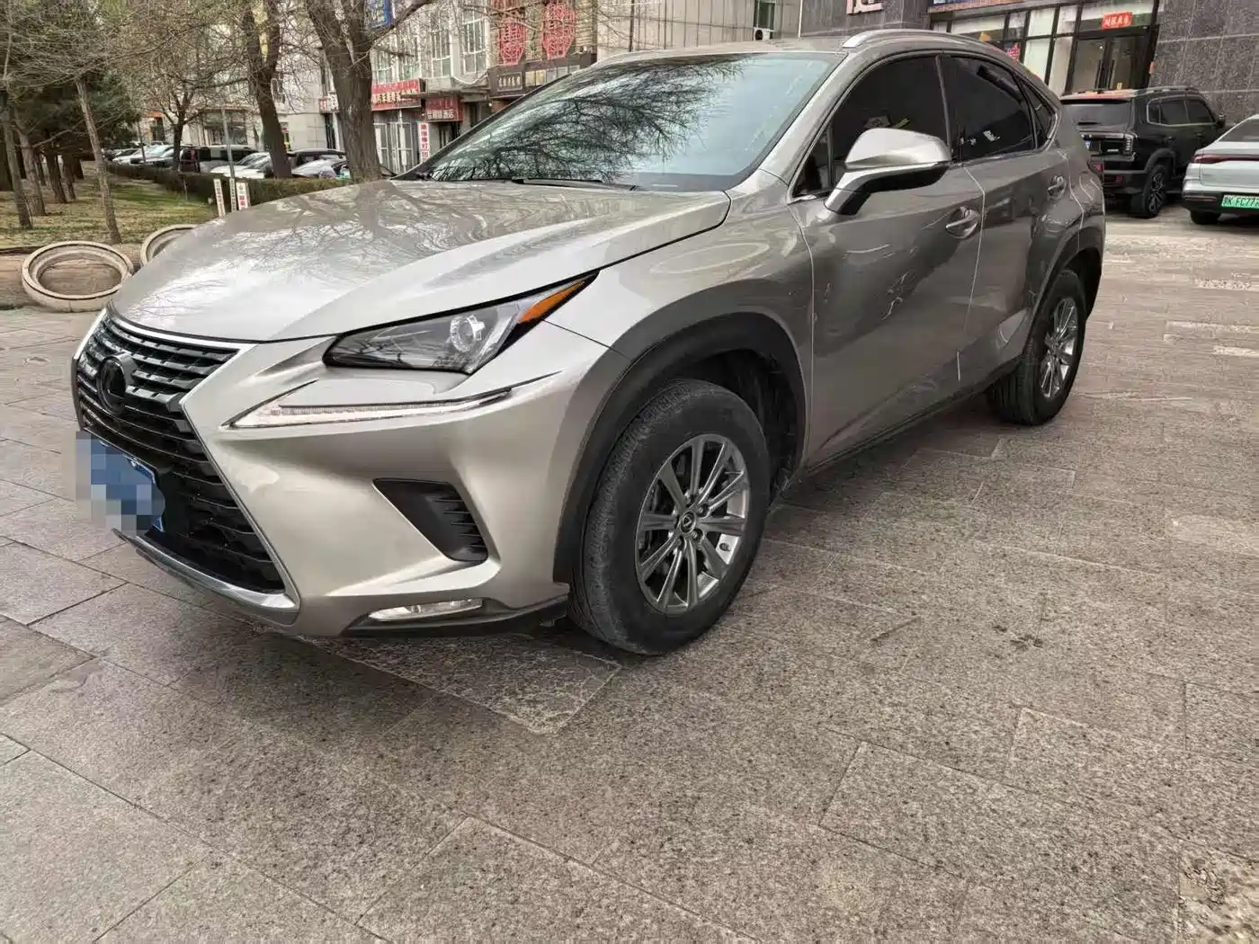 LEXUS NX
