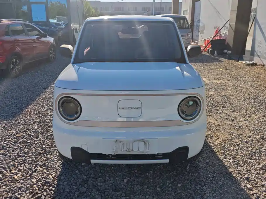 Geely Galaxy Panda 2023 2023 Panda mini 120km Cute Bear