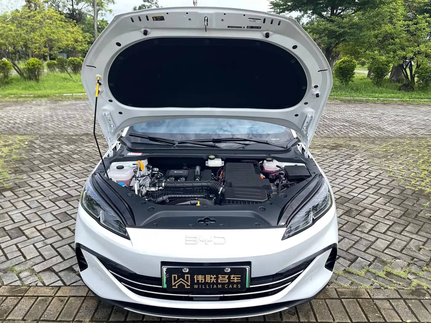 BYD Seal 06 New Energy 2025 2024 DM-i 80KM Luxury