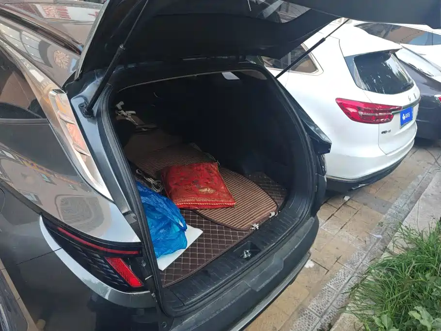 Hyundai Tucson 2023 2023 Tucson L 1.5T Automatic 2WD LUX Premium Edition
