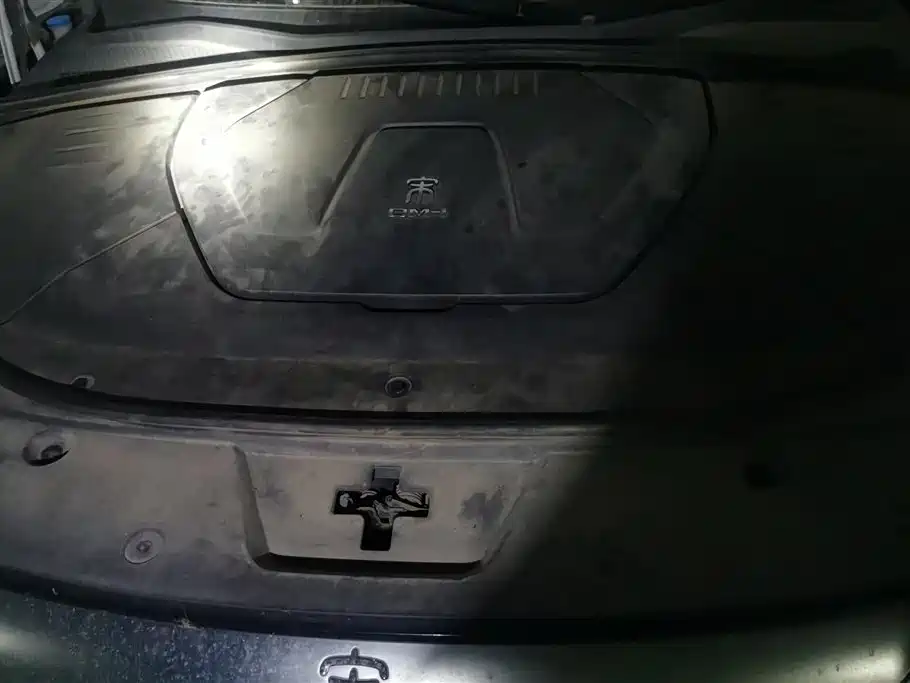 BYD Song PLUS PHEV 2021 DM-i 110KM Flagship PLUS фото 10