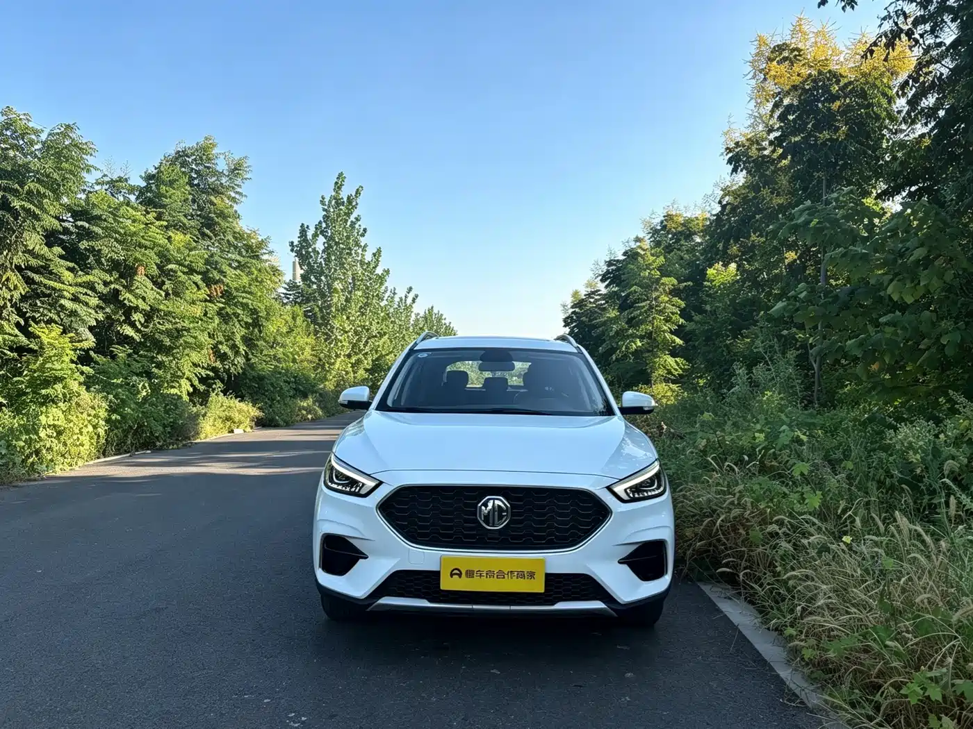 MG ZS 2023 2022 180DVVT Manual Global Million 858 Edition