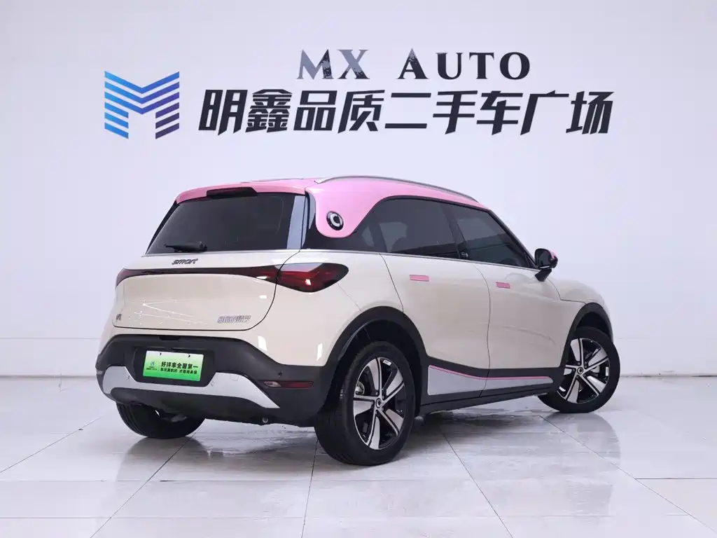 smart Elf #1 2025 2026 Model Smart Long Range Edition