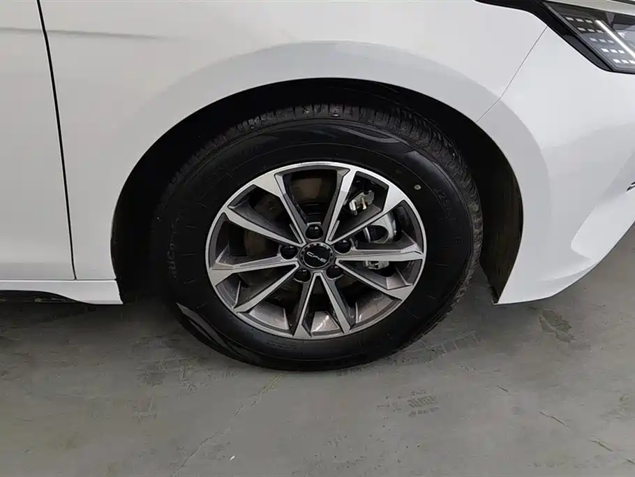 BYD Destroyer 05 2024 Glory Edition DM-i 55KM Luxury фото 6