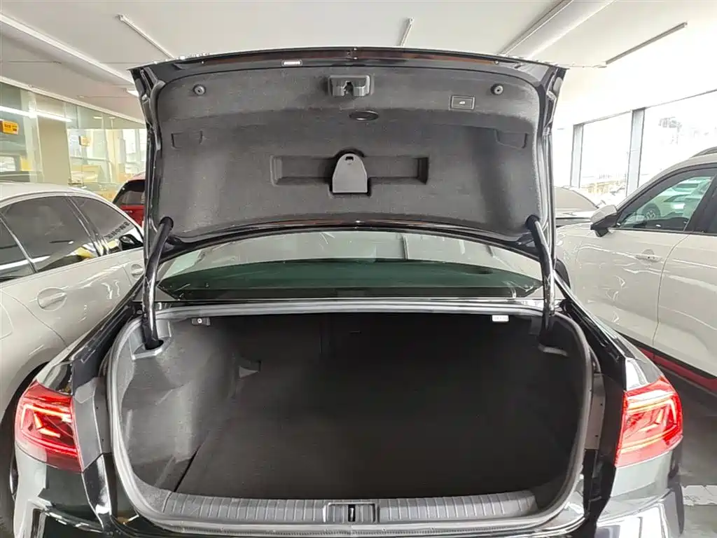 Volkswagen Magotan 2020 330TSI DSG Luxury фото 19