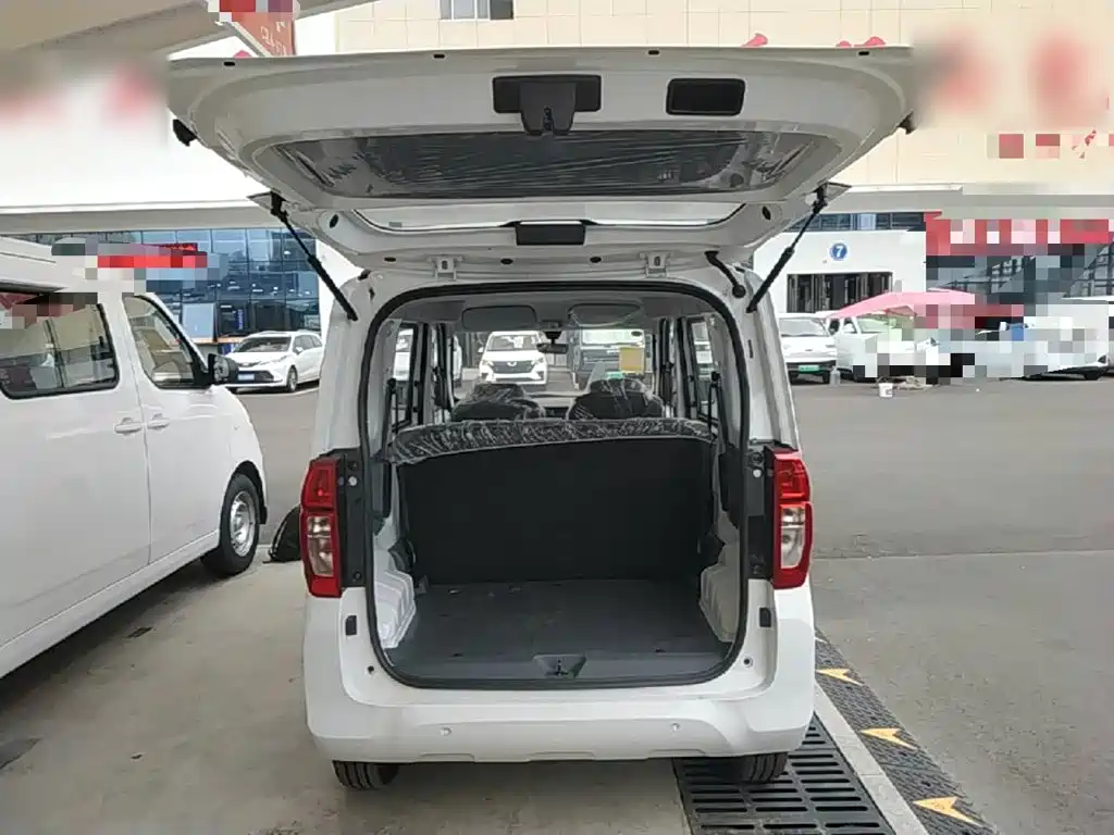Wuling Motors Wuling Zhiguang NEV 2026 2025 Model 305km Base Version