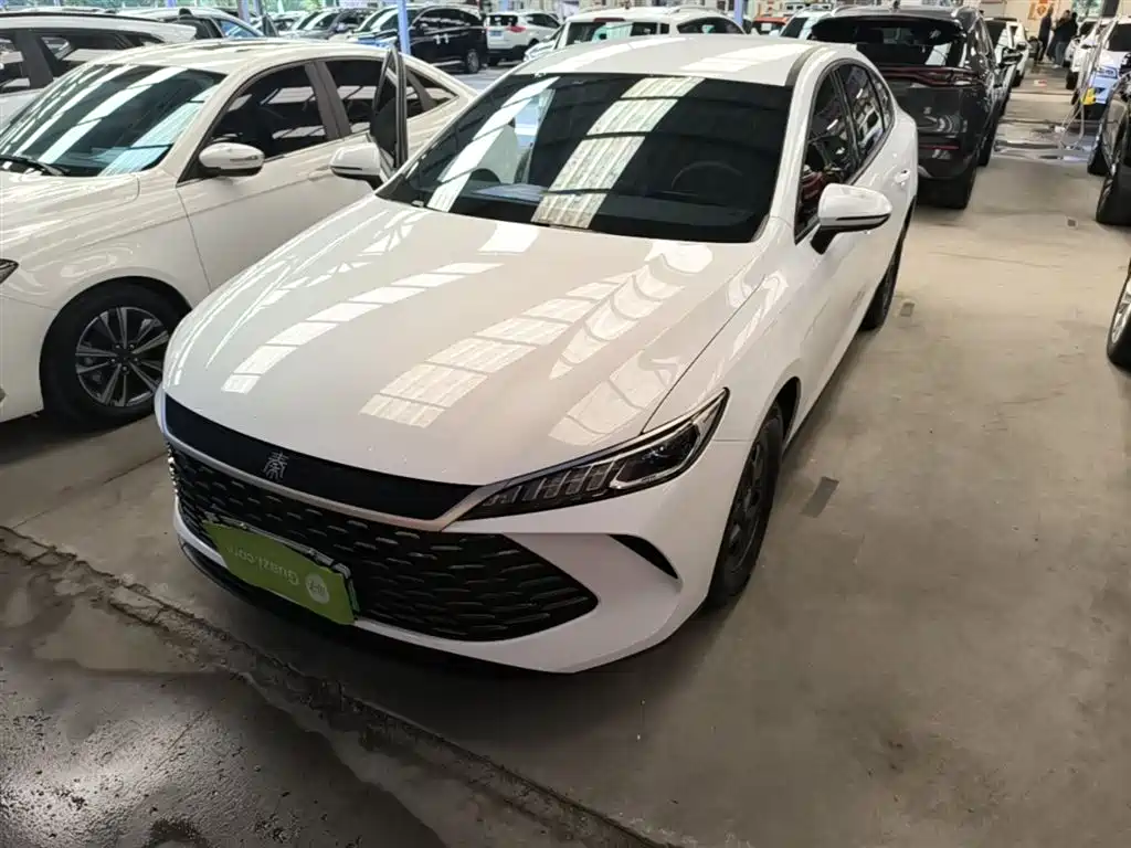 BYD Qin PLUS 2025 DM-i Smart Drive 55KM Leader
