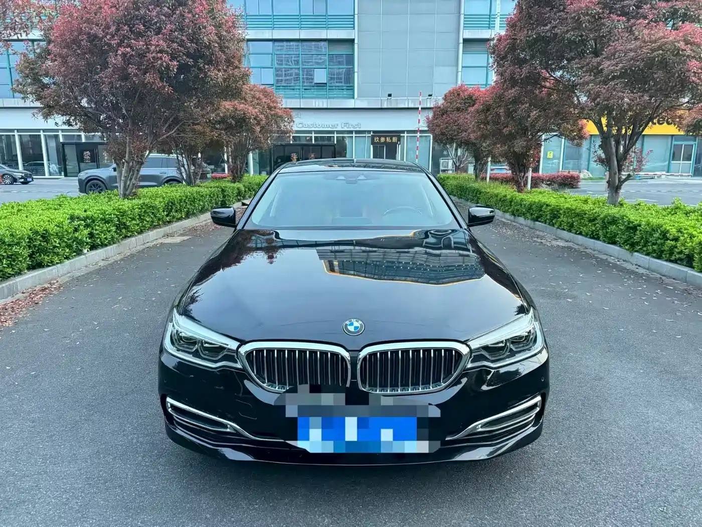 BMW 5 SERIES NEW ENERGY