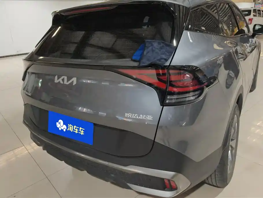 KIA LION PLATINUM EXPANDS THE WORLD