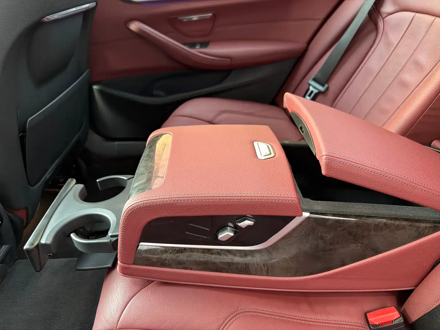 BMW 5 Series 2019 Facelift 530Li Leading M Sport Package фото 29