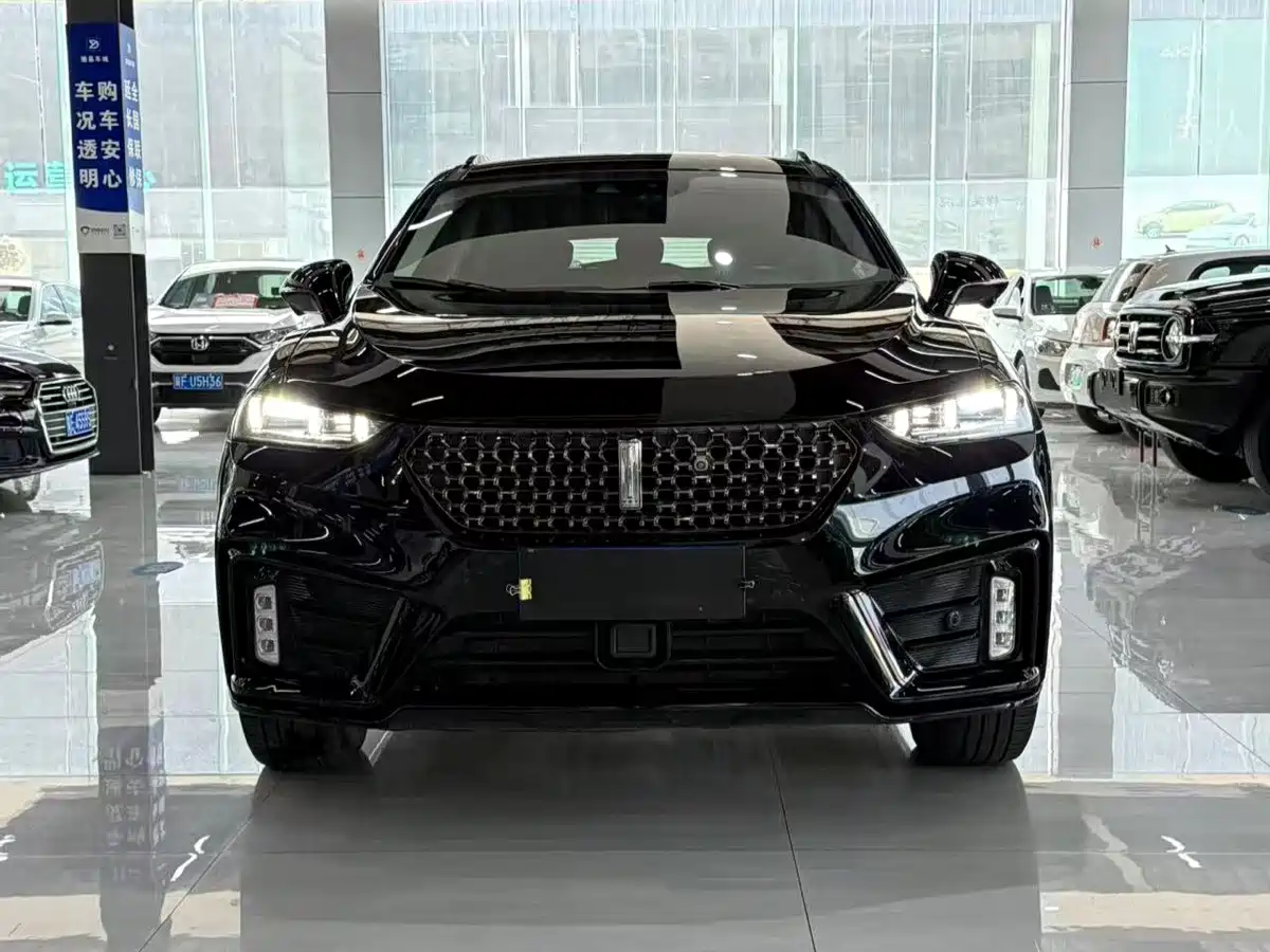 WEY VV7 2020 2020 Model 2.0T Flagship