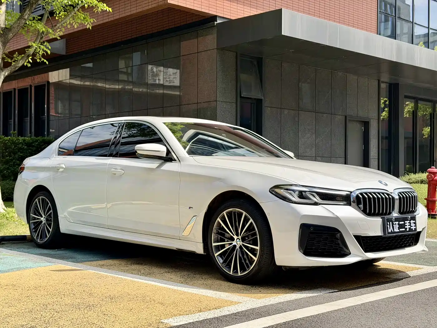BMW 5 Series 2021 530Li Leading M Sport Package фото 3