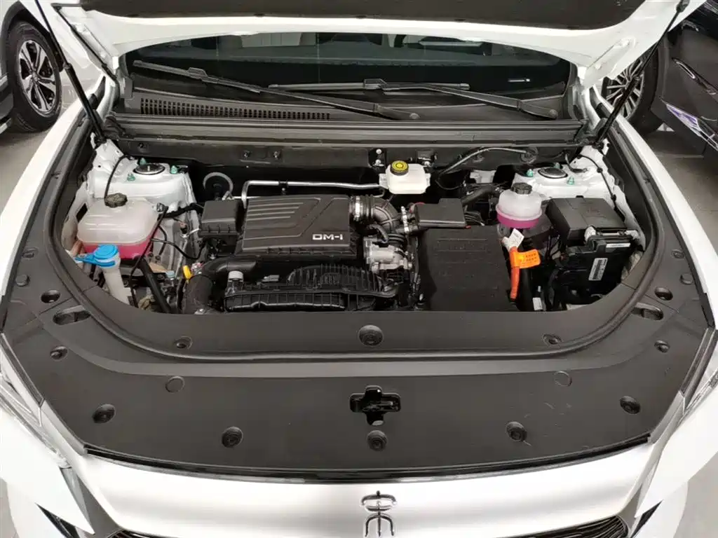 BYD Song Pro New Energy 2024 Glory Edition DM-i 71KM Pilot фото 20