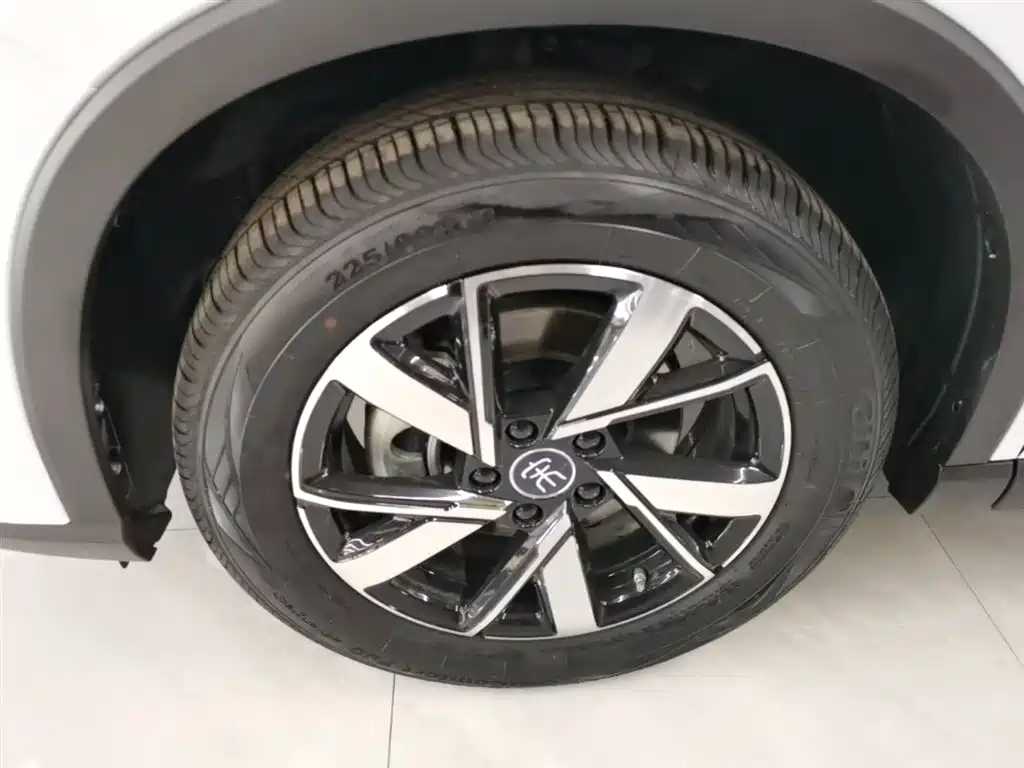 BYD Song Pro New Energy 2024 Glory Edition DM-i 71KM Pilot фото 23