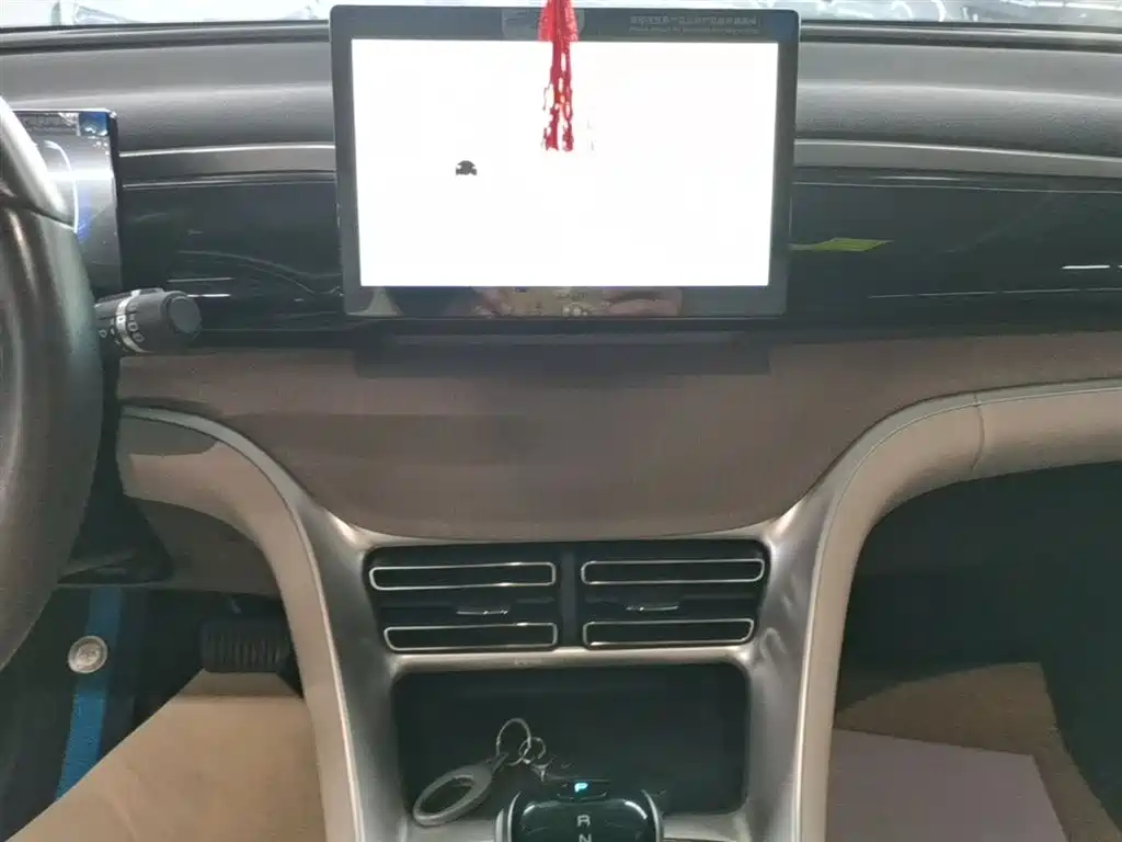 BYD Song Pro New Energy 2024 Glory Edition DM-i 71KM Pilot фото 13