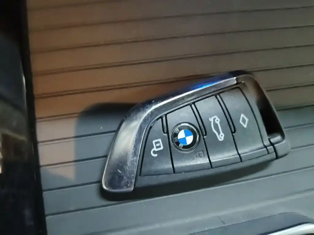 BMW iX3 2024 2023 Leading Type