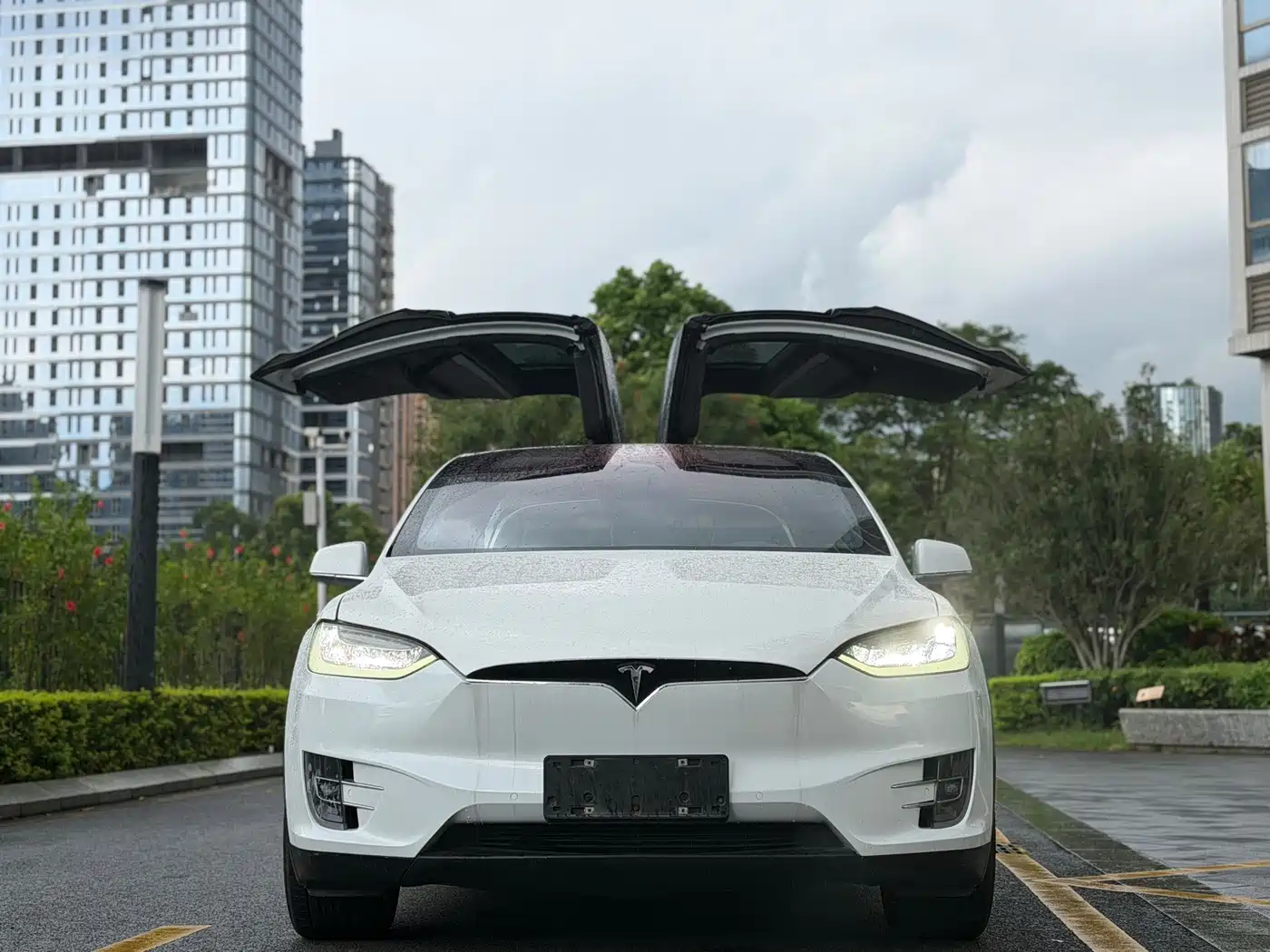 Фото 2 - Tesla Model X